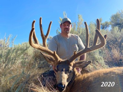 2020 Mule Deer SMO velvet SMO buck 2020